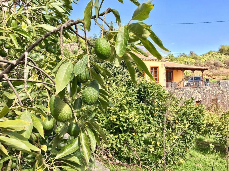 Вилла Rustic House La Montana Брения-Баха Экстерьер фото
